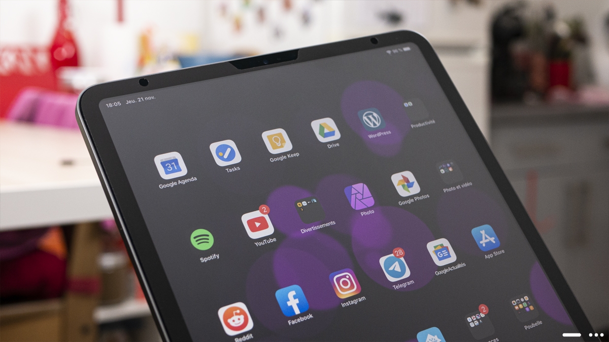Accessoires iPad Pro 2018 - Moshi iVisor