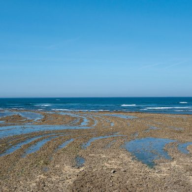 Un week-end sur l'Île d'Oléron